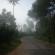 DSCN0413.JPG