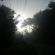 DSCN0420.JPG
