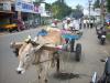 Freedom Walk Day 22 Photos (Palakkad to Alathur)